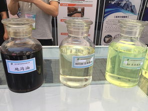 汽车 喝 地沟油,秸秆变清洁燃料 低碳环保成上海时髦词