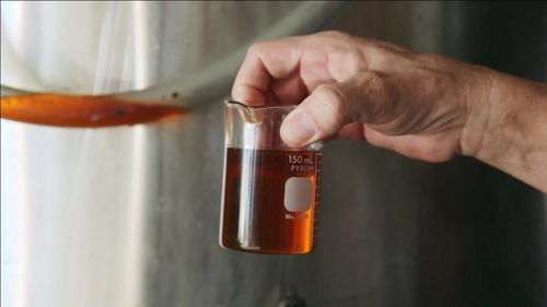 惹人嫌的地沟油在国外比柴油还贵 环保又不伤发动机,你敢用不