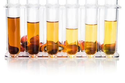 棕榈油生物燃料生物柴油与白色背景上的测试管