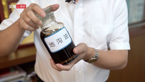 这门神奇炼油术,将地沟油变成宝,每年远销欧洲赚取以亿计外汇 全景云调研