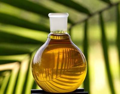 生物柴油 可持续发展能源的新趋势