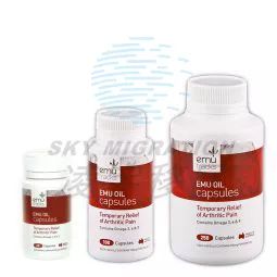 澳洲神奇的生物能源 鸸鹋与生物柴油的绿色革命