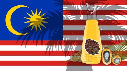 印尼棕榈油政策突变 生物柴油推动涨价与额外收费的背后