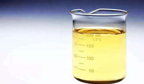 地沟油变废为宝 上海试点加注生物柴油的绿色革命