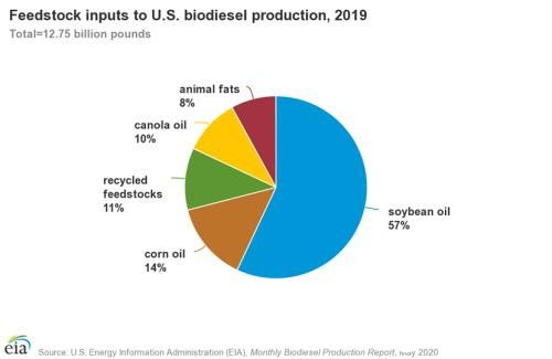 从可再生能源到生物柴油 可持续能源的新篇章