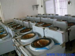 醇基电子打火炉头灶 生物柴油时代下的便携烹饪革新