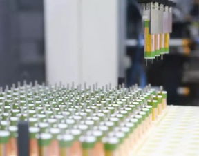 新能源浪潮下的生物柴油 技术、政策与可再生能源发展