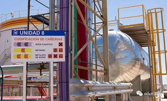 从“多大才算大”到能源未来——探寻全球与中国最大的油厂及生物柴油发展