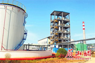 眉山生物柴油生产线投产 引领绿色能源新篇章，助力碳中和目标