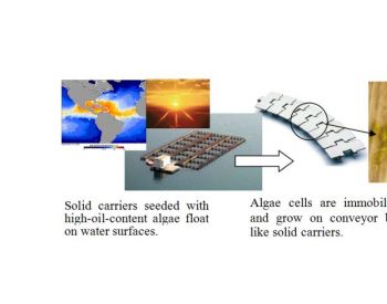 生物柴油 绿色能源的未来之光